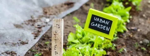 De 'biologische consument' eet duurzaam