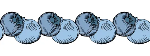 Bosbes voor de bloedvaten