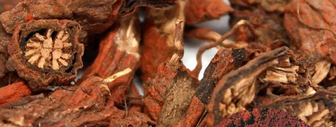 Ginseng en danshen beschermen tegen spierschade