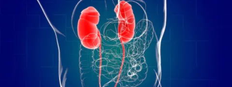Nierziekte via de darmen
