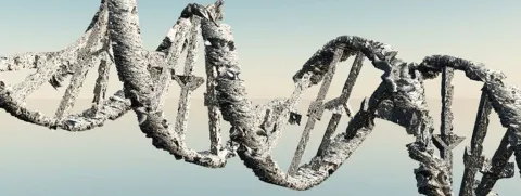 Genoeg zink voorkomt DNA-schade