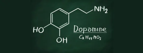 Slaap-waakritme afhankelijk van dopamine