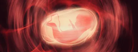 Epigenetica van beweging