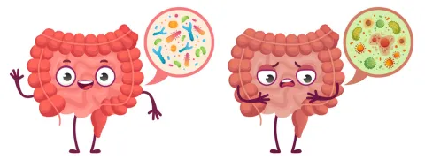 Orale poeptransplantatie gunstig bij metabool syndroom