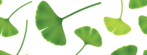 Kwaliteit rhodiola en ginkgo ter discussie