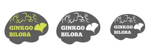 Ginkgo biloba gaat vasculaire dementie tegen
