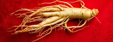 Ginseng vermindert risico op kanker
