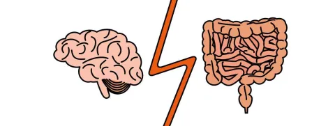 Relatie tussen darmmicrobioom en stemming