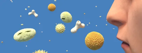 Probiotica verlichten symptomen hooikoorts