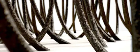 Haaranalyse verraadt vitamine D-status 