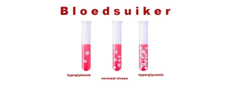 Liponzuur, carnosine en thiamine als onderdeel van diabetesbehandeling