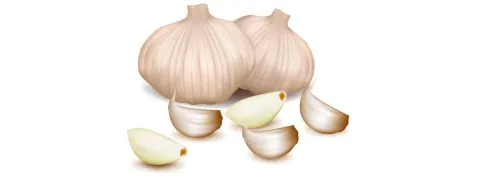 Knoflook ondersteunt lever