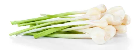 Knoflook gunstig bij diabetes
