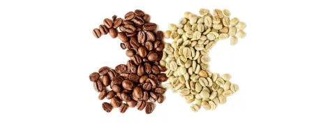 Chlorogeen uit koffie maakt bloedvaten soepel