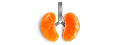 Gezonde longen door fruit en groente
