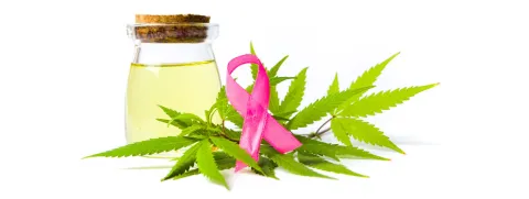 Link tussen marihuana en kanker nauwelijks aantoonbaar