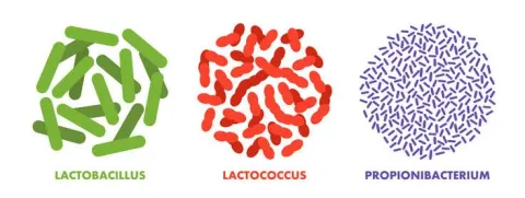 Ieders darmmicrobioom reageert verschillend op dezelfde voeding
