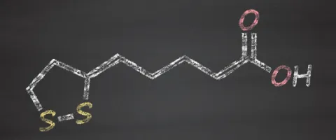 Liponzuur onderdrukt oxidatieve stress en verbetert glucose bij diabetes