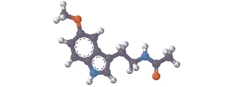 Melatonine steun voor het hart