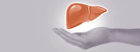 Leververvetting, aanpak met kruiden