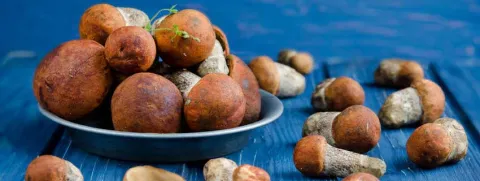 Regelmatig paddenstoelen eten verlaagt mogelijk kans op prostaatkanker