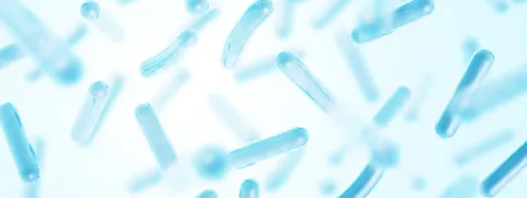 Probiotica en omga-3 tegen ouderdomsontsteking