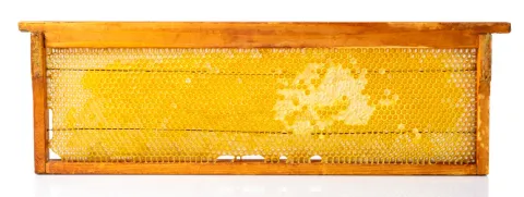 Propolis versnelt genezing diabetische wonde