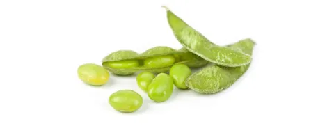 Soja-isoflavonen verminderen astma bij PAI1-patiënten