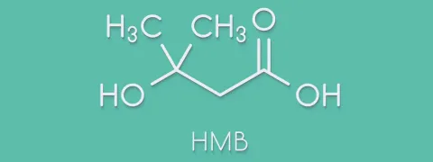 HMB remt sarcopenie na levertransplantatie
