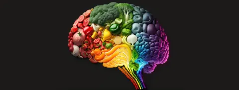 Voeding beïnvloedt hersenstructuur
