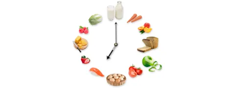 Spijsvertering baat bij eten volgens circadiaans ritme