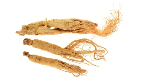 Ginseng beter dan nitraten bij angina pectoris