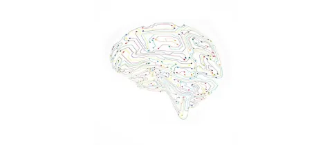 Hersenverbindingen herstellen bij alzheimer
