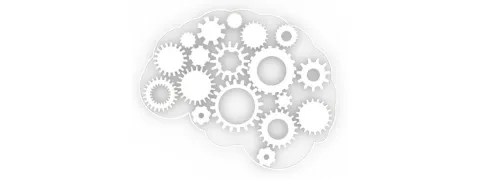 Luteine en zeaxanthine voor efficiëntere informatieverwerking