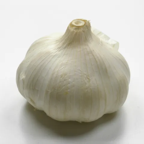 Knoflook verhoogt adiponectine
