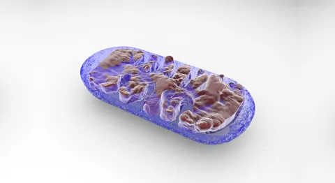 Hoge dosis vitamine B1 tegen kanker