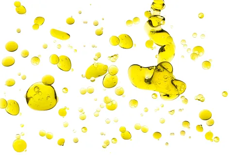 Geen vertering van vetten zonder bacteriën