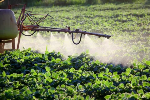Pesticiden veroorzaken alzheimer