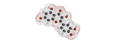 Resveratrol en quercetine als kankertherapie
