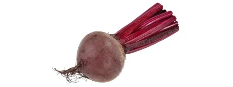 Biobieten gezonder?