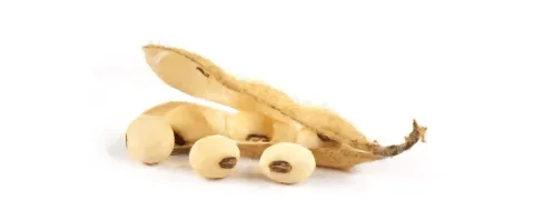 Nutritionele link tussen ontstekingen en kanker
