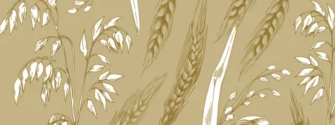 Havervezel vermindert PFAS in bloed?