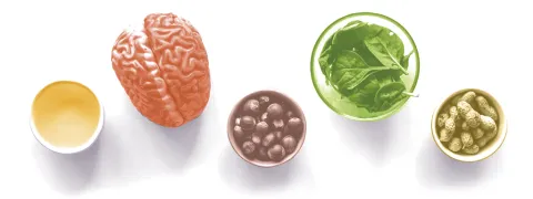 Kan voeding autismesymptomen verminderen?