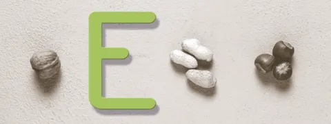 Vitamine E als probiotische cholesterolverlager