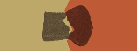 Boekweit en kikkererwt