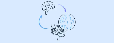 Welke supplementen bij parkinson?