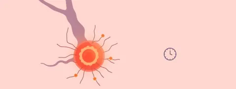 Korte vastenkuur versterkt immuuntherapie