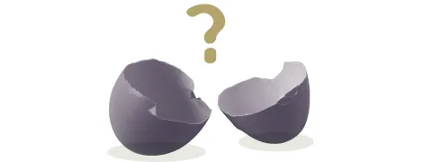 Eiwitadvies voor spiereiwitsynthese: een heroverweging waard?