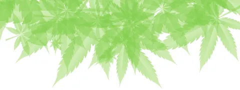 Endocannabinoïden in ons lichaam