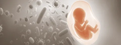 Voeding voor het microbioom van de baby